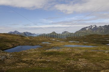 Panoramic views of lakes and bogs of the Lofoten Islands