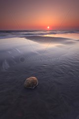 Pebble on a sandy beach at sunrise RNP Camargue France
