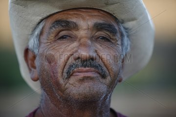 Portrait of a breeder cattle in Vizcaino Desert of Mexico