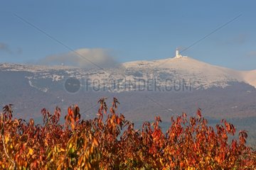 Mont Ventoux in autumn Provence France