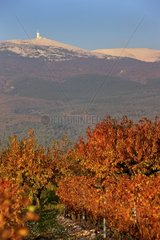 The Mont Ventoux in autumn Provence France