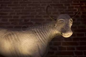 Statue of a bull in the baptistery of Cremona Italy