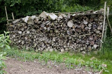 Stack of wood in a garden