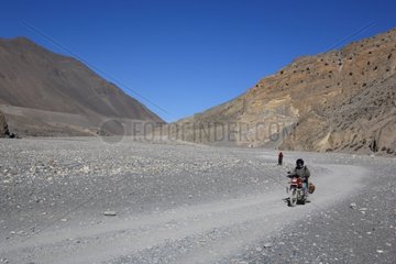 Rider on a mountain trail Nepal Himalayas