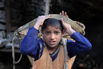 Boy carrying a heavy load Nepal Himalayas