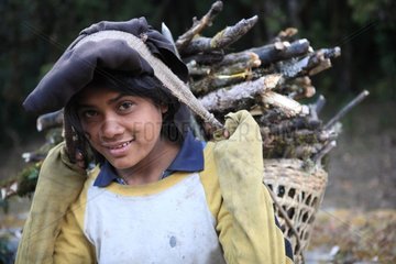 Child carrying firewood Nepal Himalayas