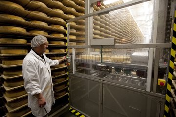 Cave ripening cheese Comté in the Jura France