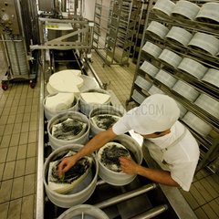 Casting Morbier cheese in the Jura France