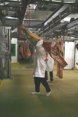 Man carrying a carcass of beef France