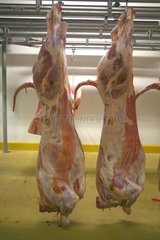 Pork carcasses hanging in a warehouse France