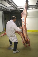 Man cutting a carcass with a knife France