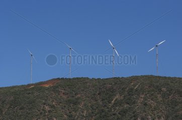 Windmills in the Region Koumac New Caledonia