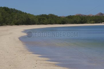 Beach of Poingam in New Caledonia