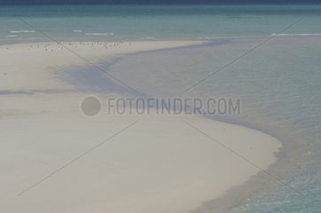 White sand beach Ouvea in New Caledonia
