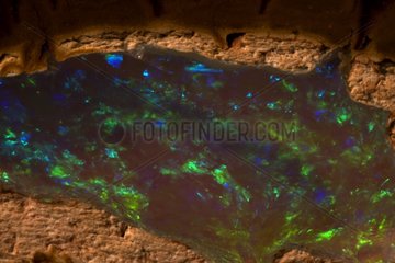 Opal abgebaut in Yowah Queensland Australia