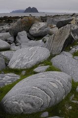 Rocks on a beach in Lofoten Norway