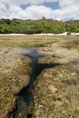 Fault on reef at low tide in New Caledonia