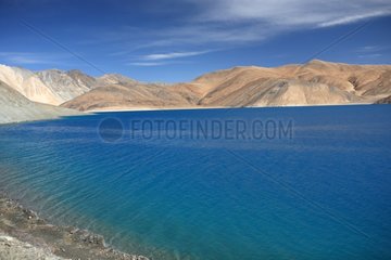 Banks of Lake Pangong Ladakh Himalayas India