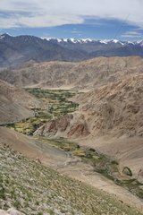 Cultivated valley and snow-capped Ladakh Himalayas India