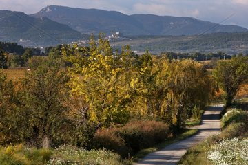 Small road in autumn in Provence France