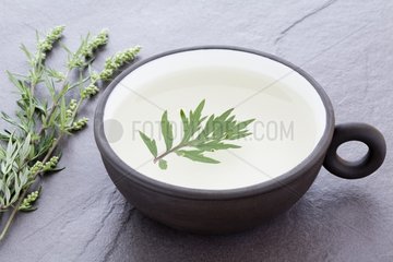 Wormwood herb tea in a bowl of earth