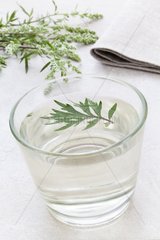 Herbal sagebrush in a transparent cup