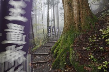 Access to the Temple Tamaki-Yoshino-Kumano Jinja PN Japan