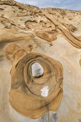 Concretions of sandstone Point Lobos NR California USA