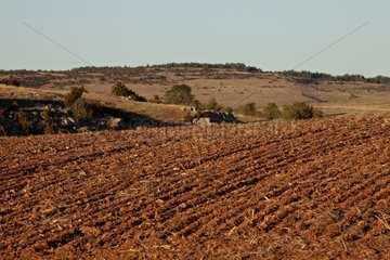 Ploughed field on the Causse Noir in the Cévennes France