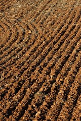 Ploughed field on the Causse Noir in the Cévennes France