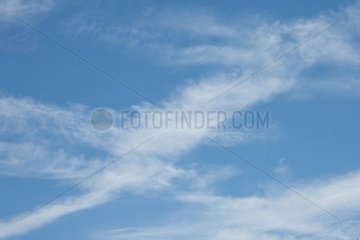 Cirrus clouds in the blue sky of Provence in France