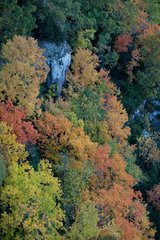 Gorges of the Verdon in autumn France