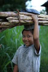 Girl carrying firewood on their heads Bali Indonesia