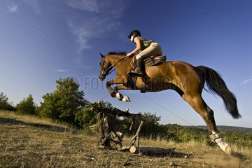 Rider on horse jumping over a trunk France