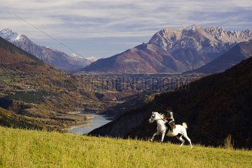 Rider on horseback Arabian galloping Plateau Mathesin France