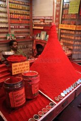 Seller red colored powder Haridwar India