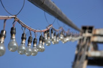 Garland light bulbs Haridwar India