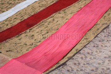 Fabrics red rose and white dry ground Haridwar India