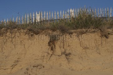 Dune effondée in the Bay of L'Aiguillon-sur-Mer France