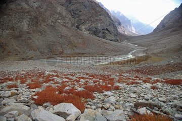 Landscape of Zanskar in autumn Ladakh Himalayas India
