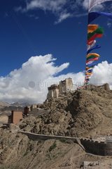 Namgyal Gompa Tsemo monastery Leh Ladakh Himalayas India