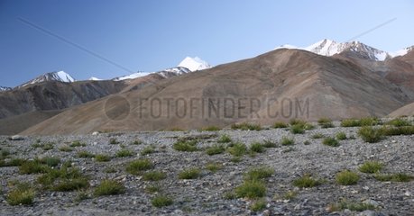 Arid landscape Pangong Lake area Ladakh Himalayas India