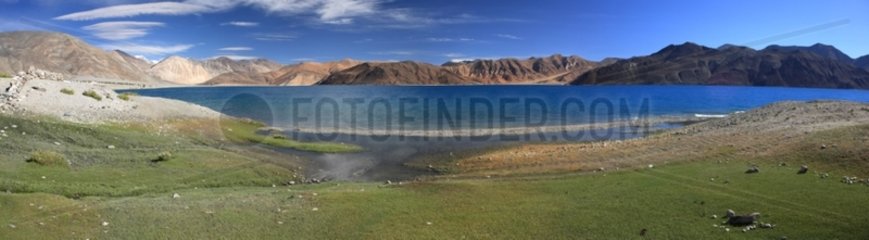 Shores of Lake Pangong Ladakh Himalayas India