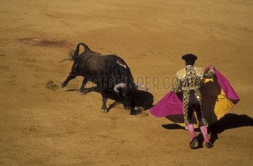 Toréador et taureau pendant une corrida Espagne