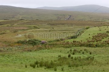 Landscape of moors and pastures Ballycroy NP Ireland