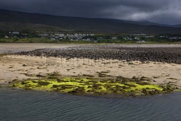 Foreshore and stormy sky on the West Coast of Ireland