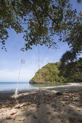 Swing on the beach Ao Mola Thailand Tarutao Island