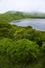 Lake and Vegetation on the slopes of Ponta do Pico Azores