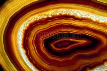 Agate Geode with concentrically zoned staining
