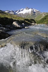 Torrent in summer and Aiguille of Glacier Alps France